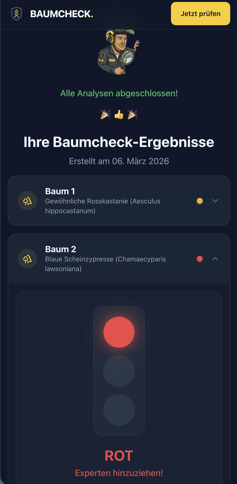 Baumcheck app showing a photo-based initial assessment of a tree
